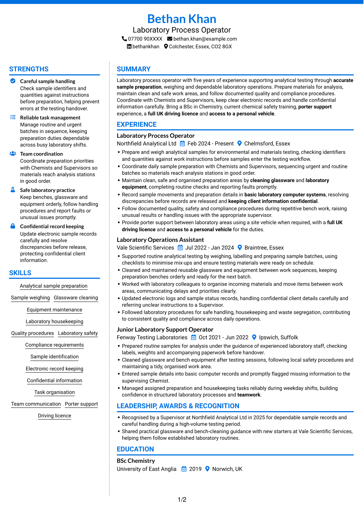 CV example — page 1