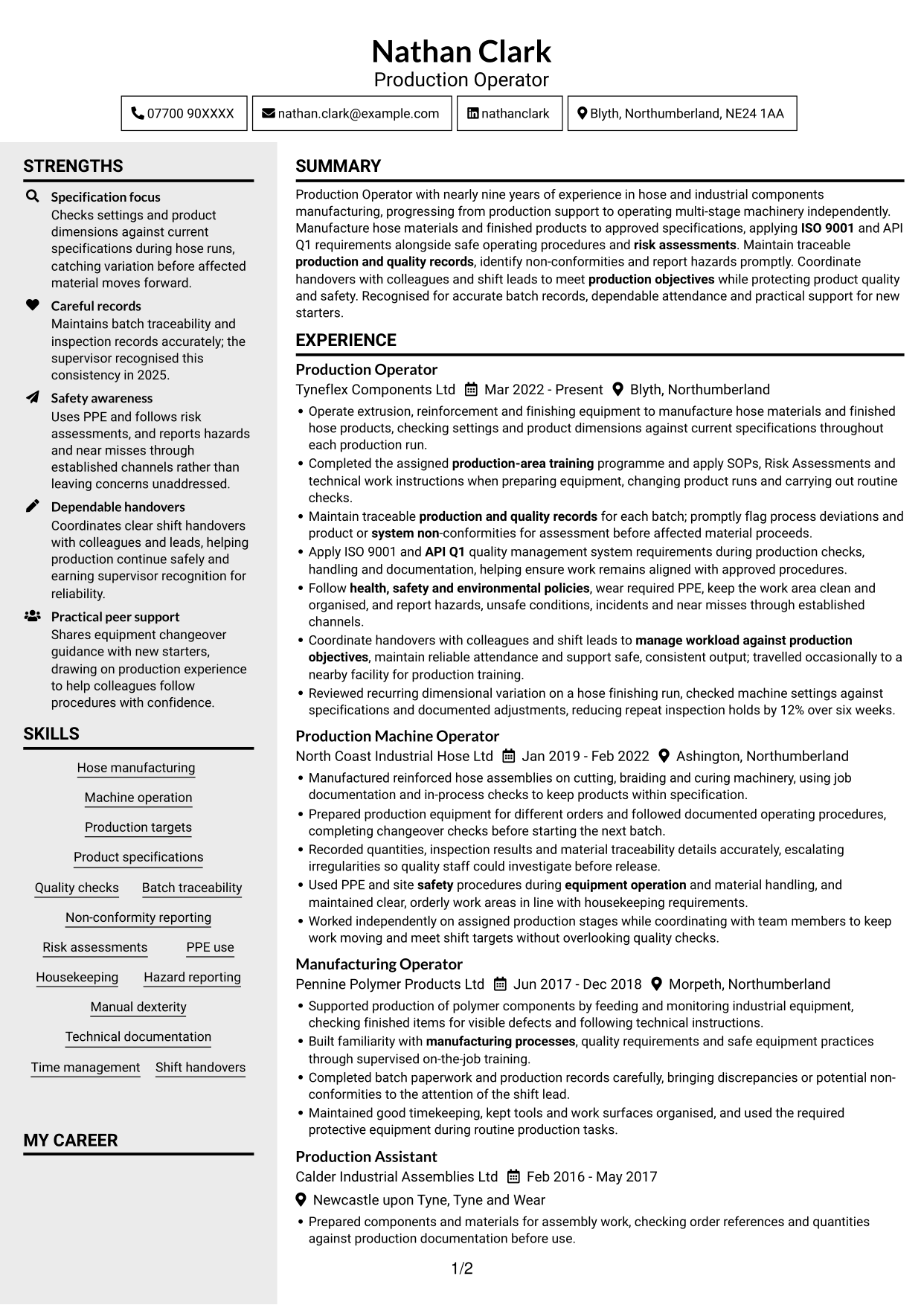 CV example — page 1