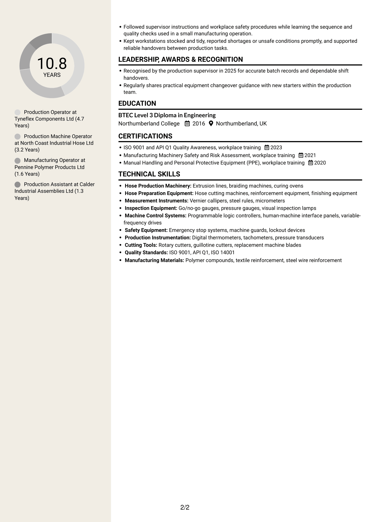 CV example — page 2