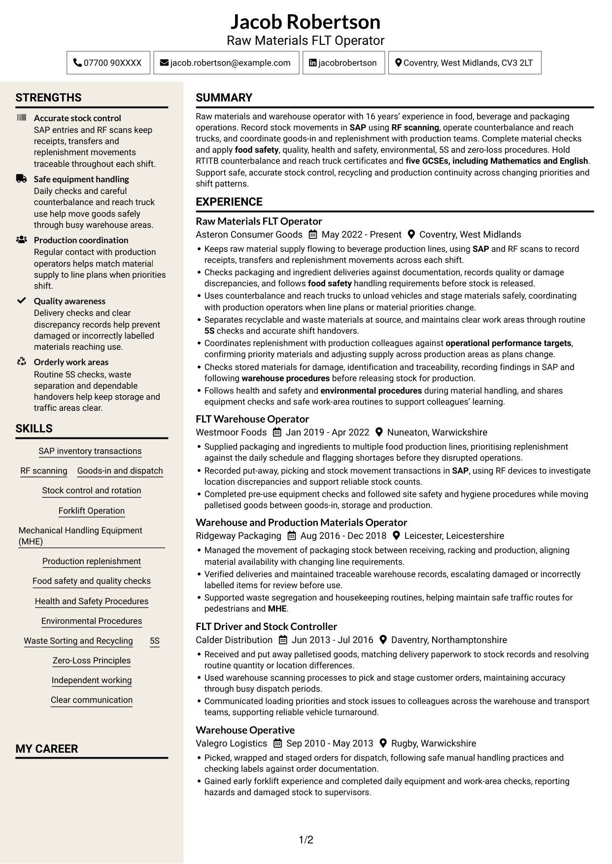 CV example — page 1