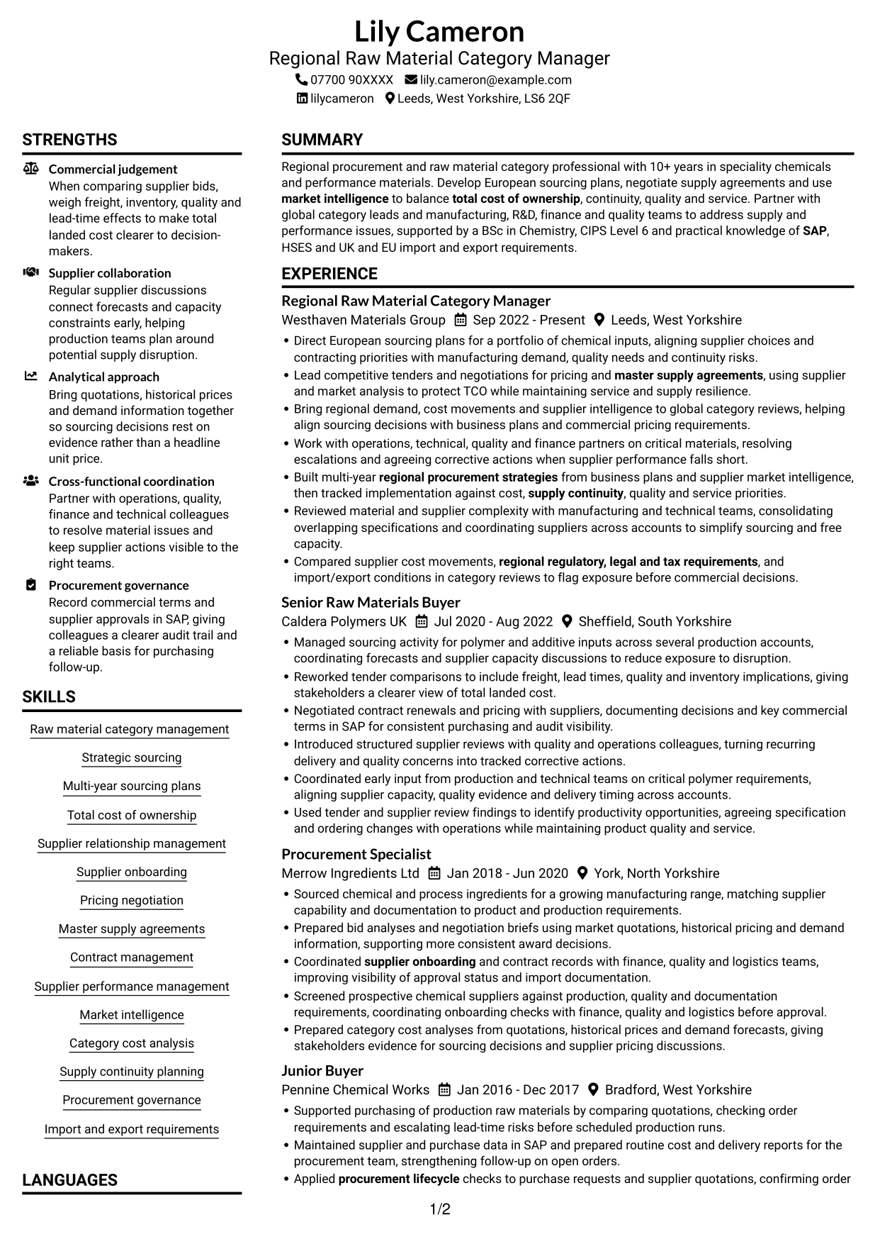 CV example — page 1