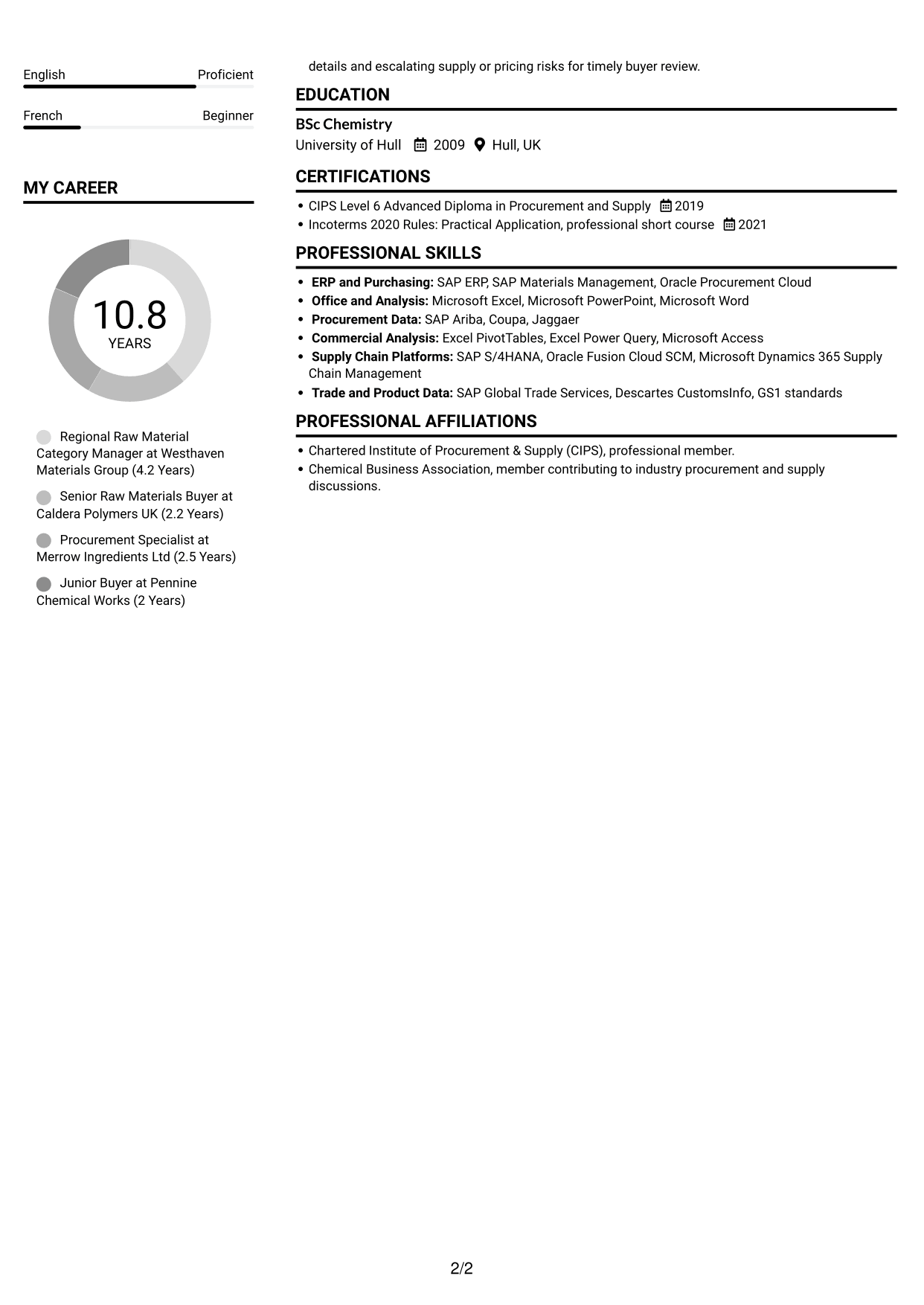 CV example — page 2