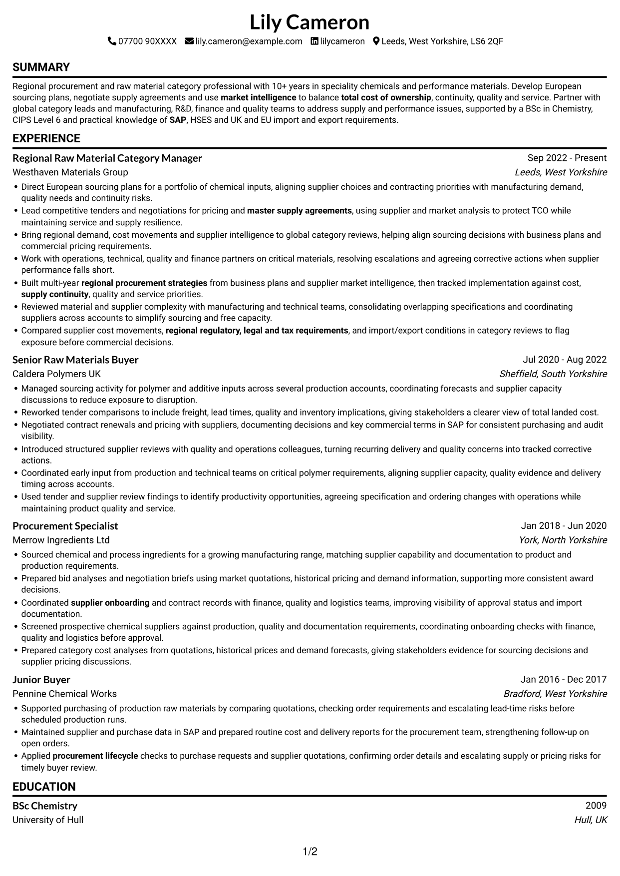 CV example — page 1