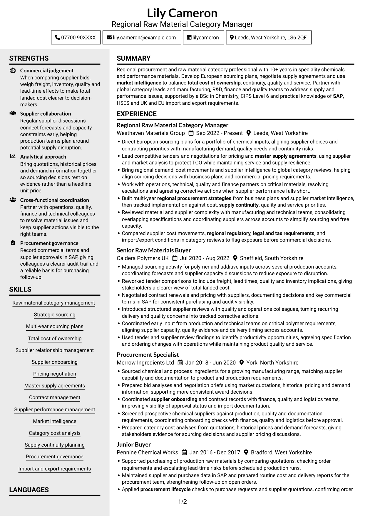 CV example — page 1