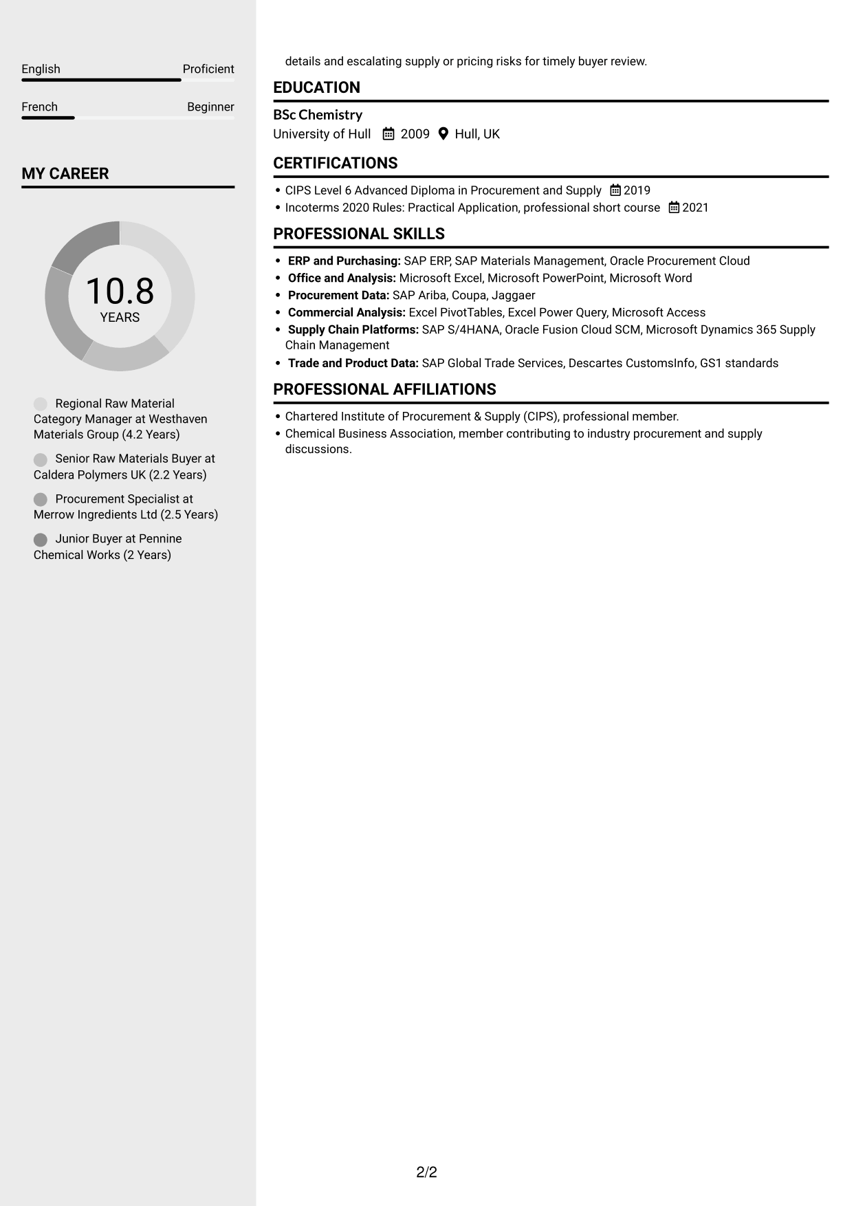 CV example — page 2