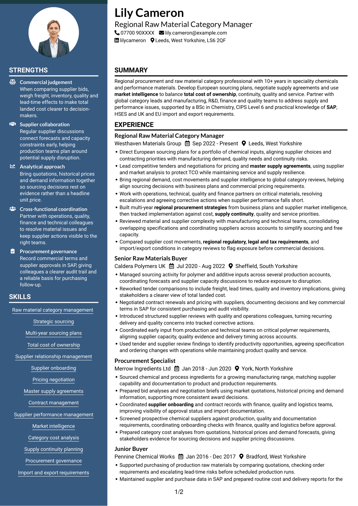 CV example — page 1