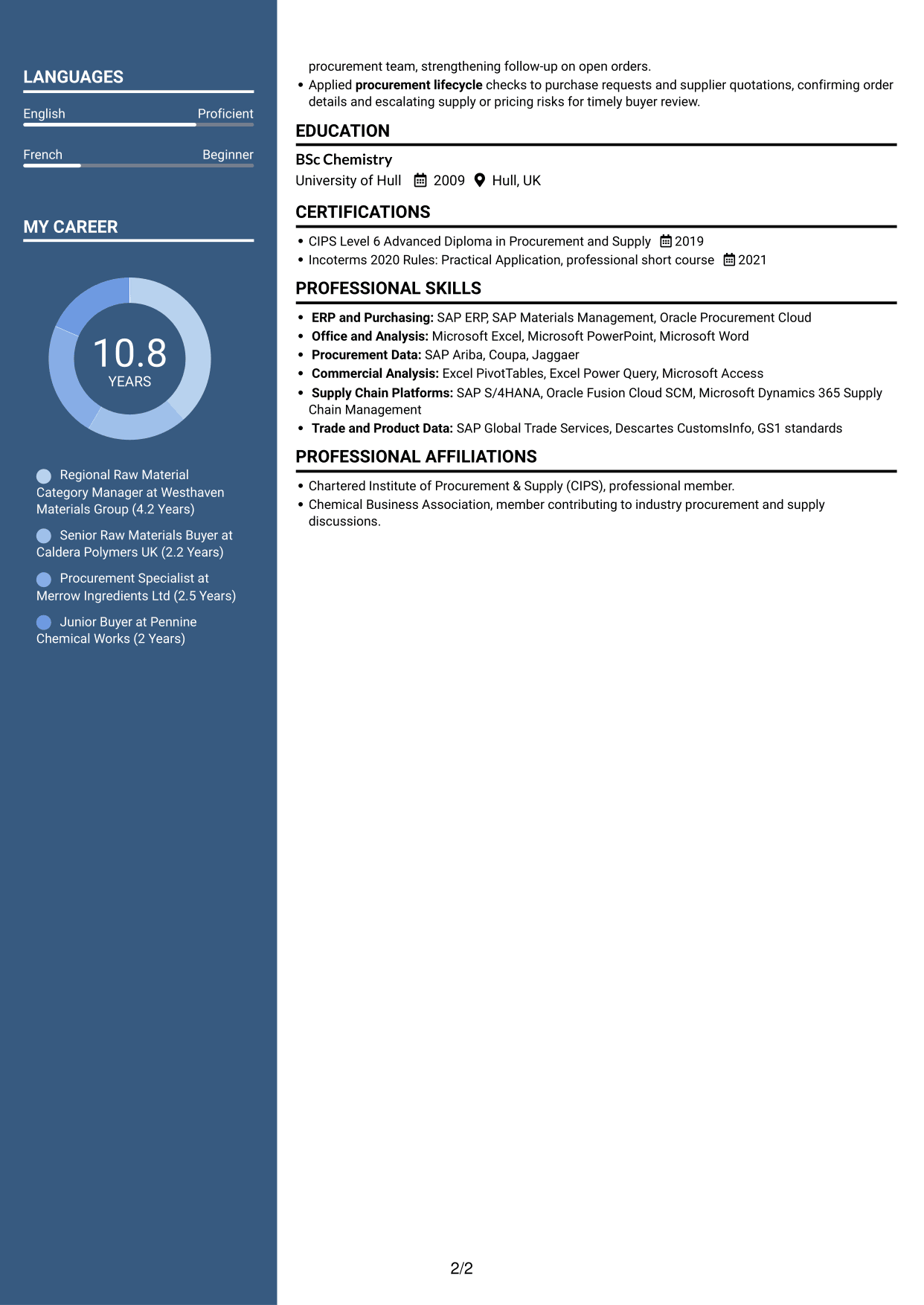 CV example — page 2
