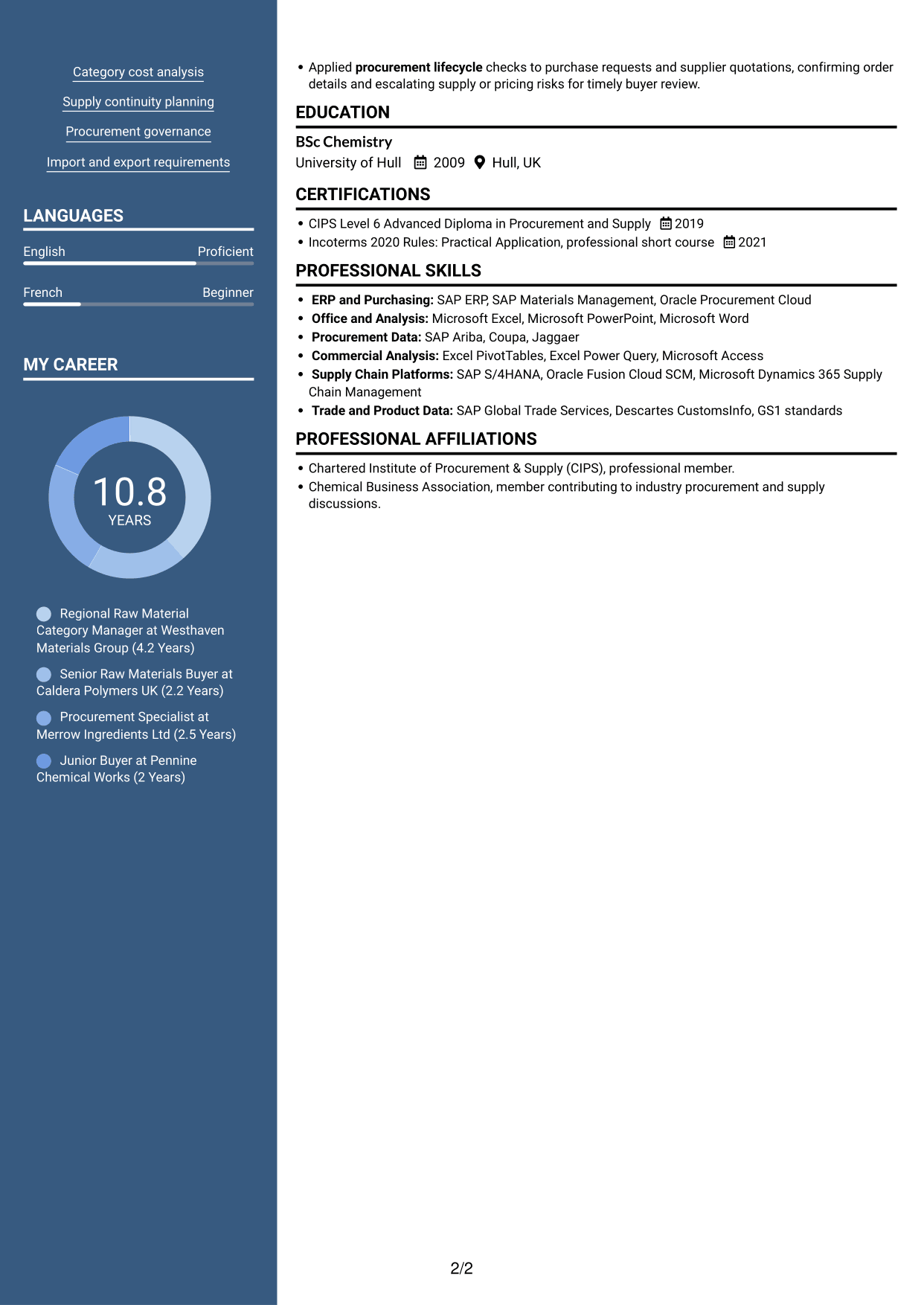 CV example — page 2