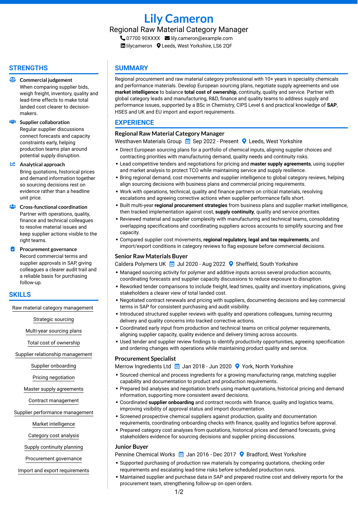 CV example — page 1