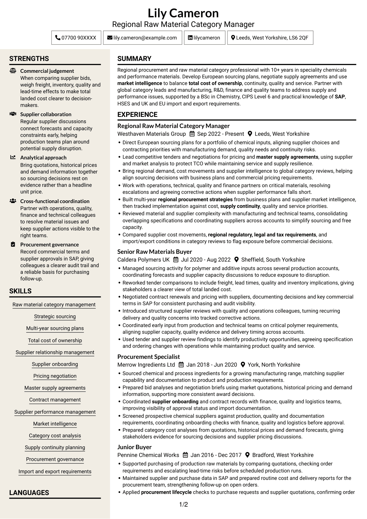 CV example — page 1