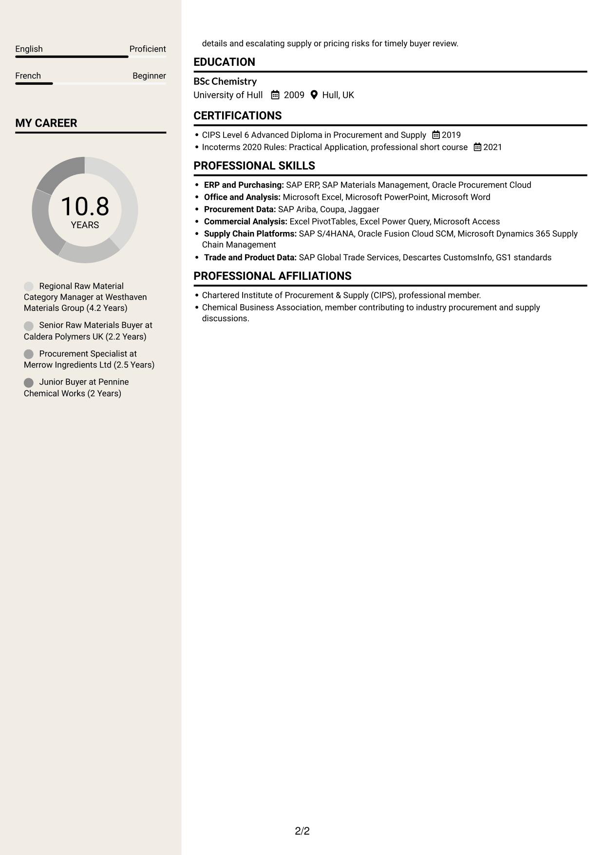 CV example — page 2