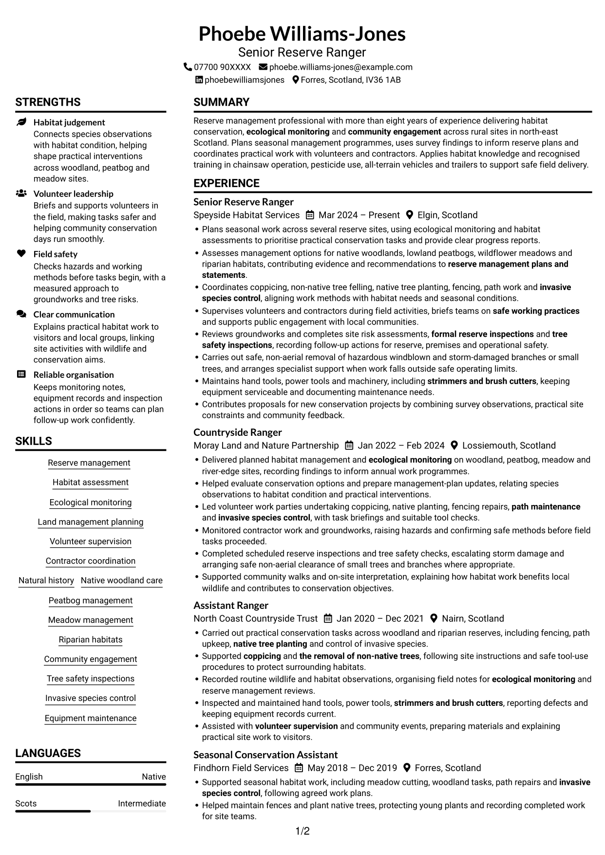 CV example — page 1