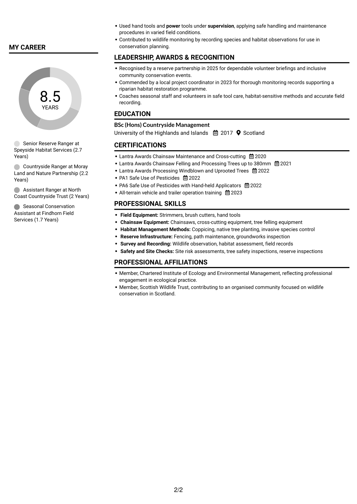 CV example — page 2