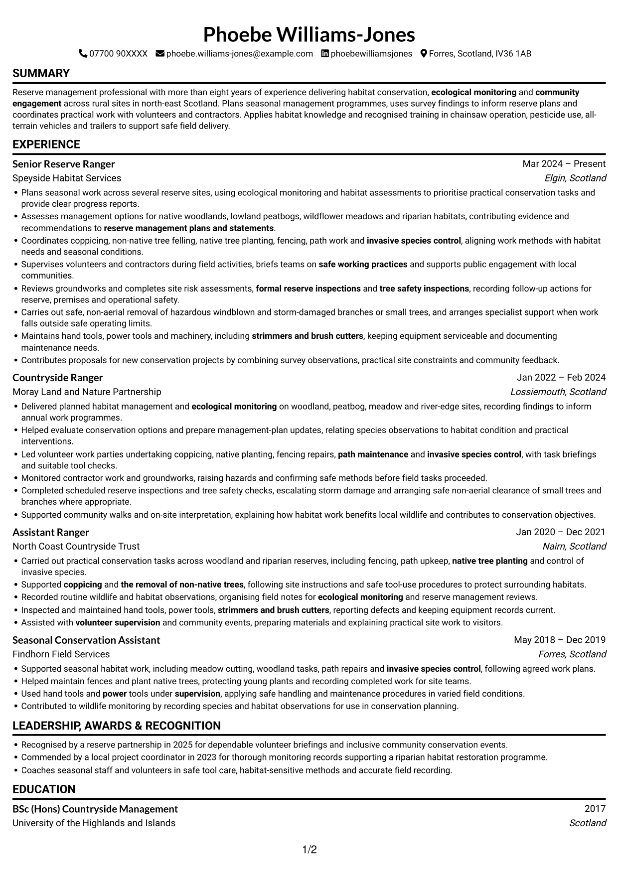 CV example — page 1