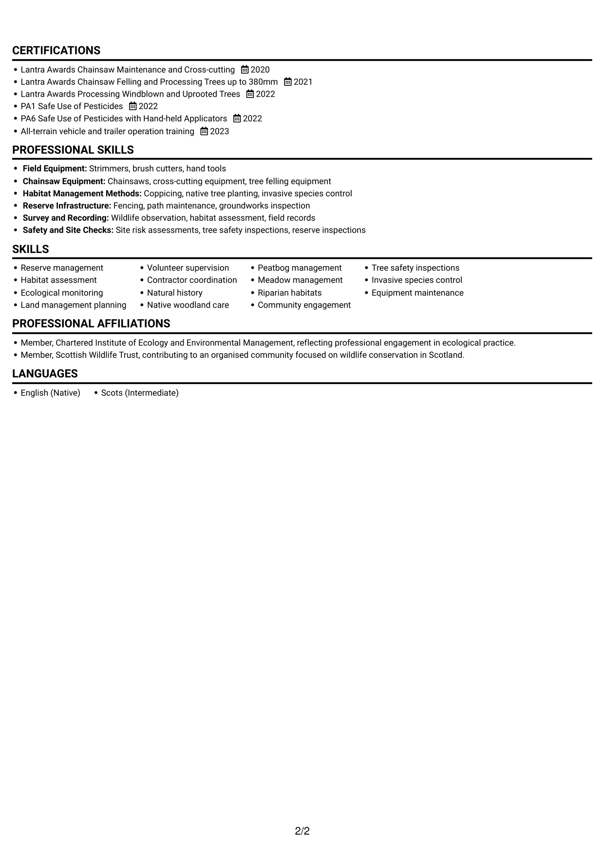 CV example — page 2