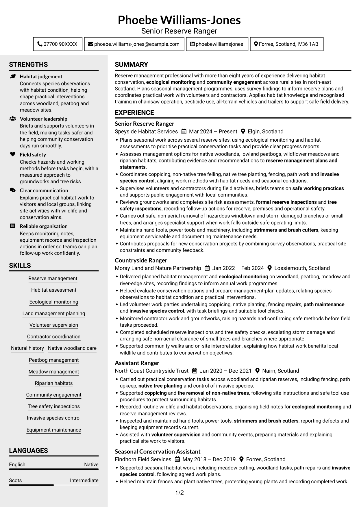 CV example — page 1