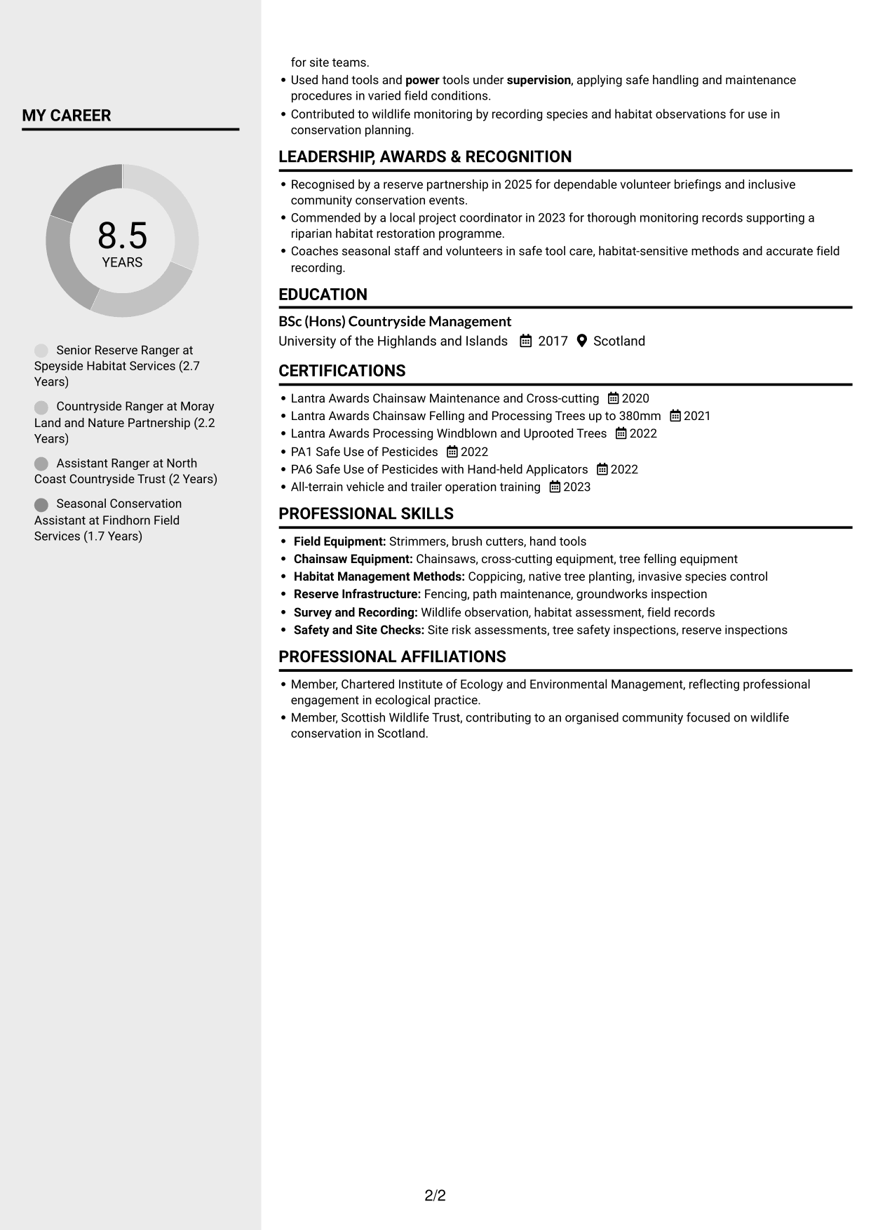 CV example — page 2