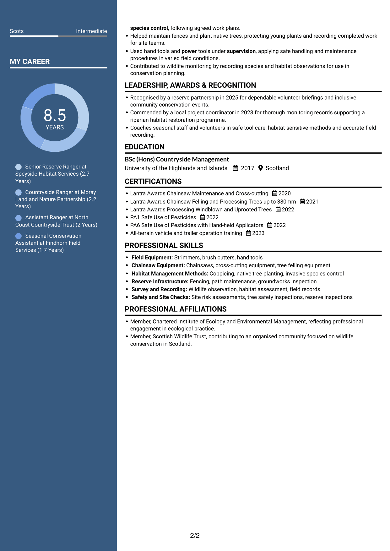 CV example — page 2