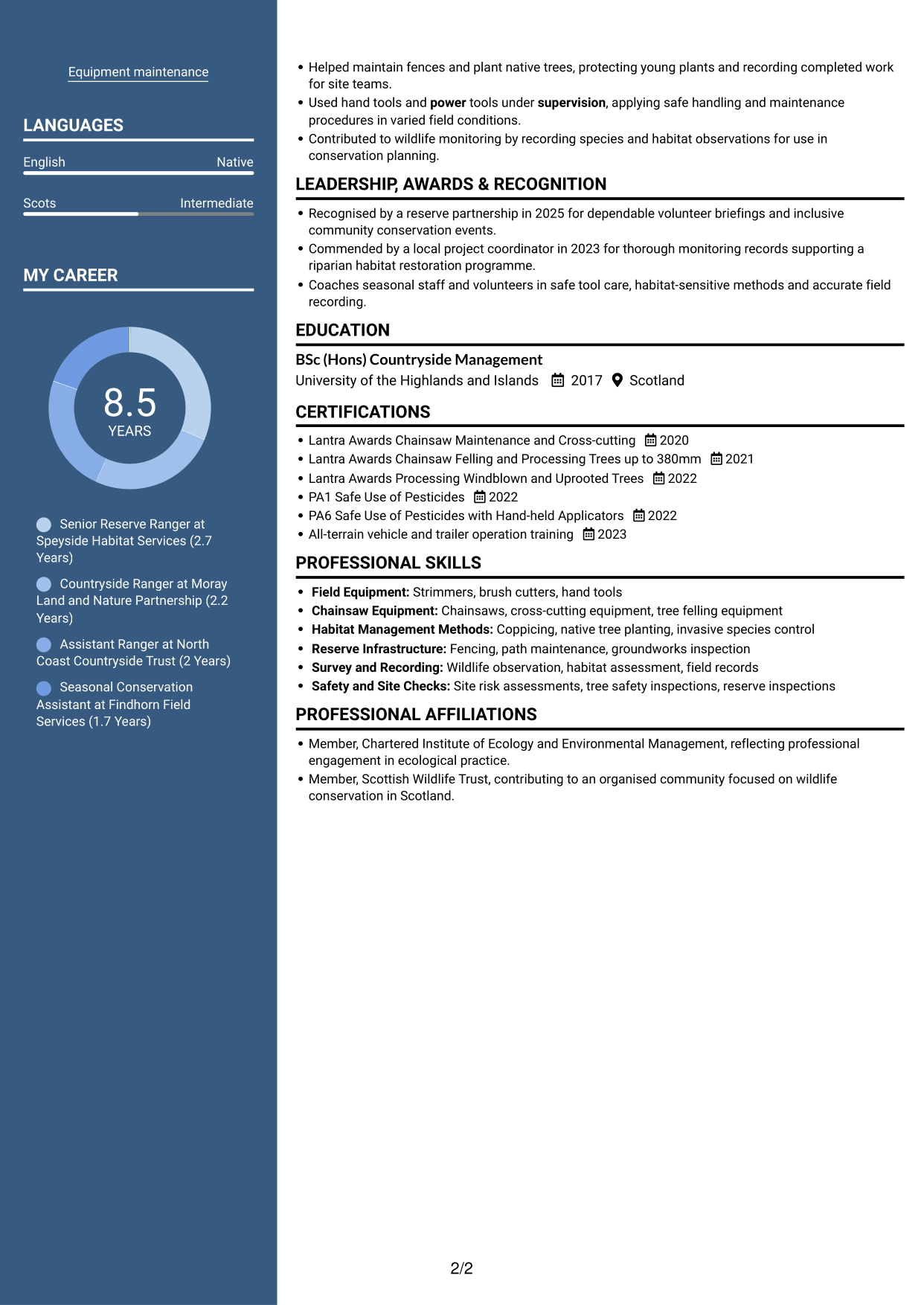 CV example — page 2