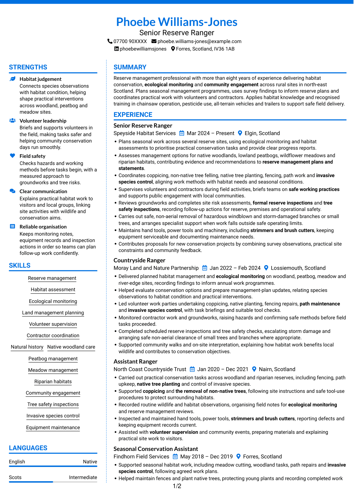 CV example — page 1