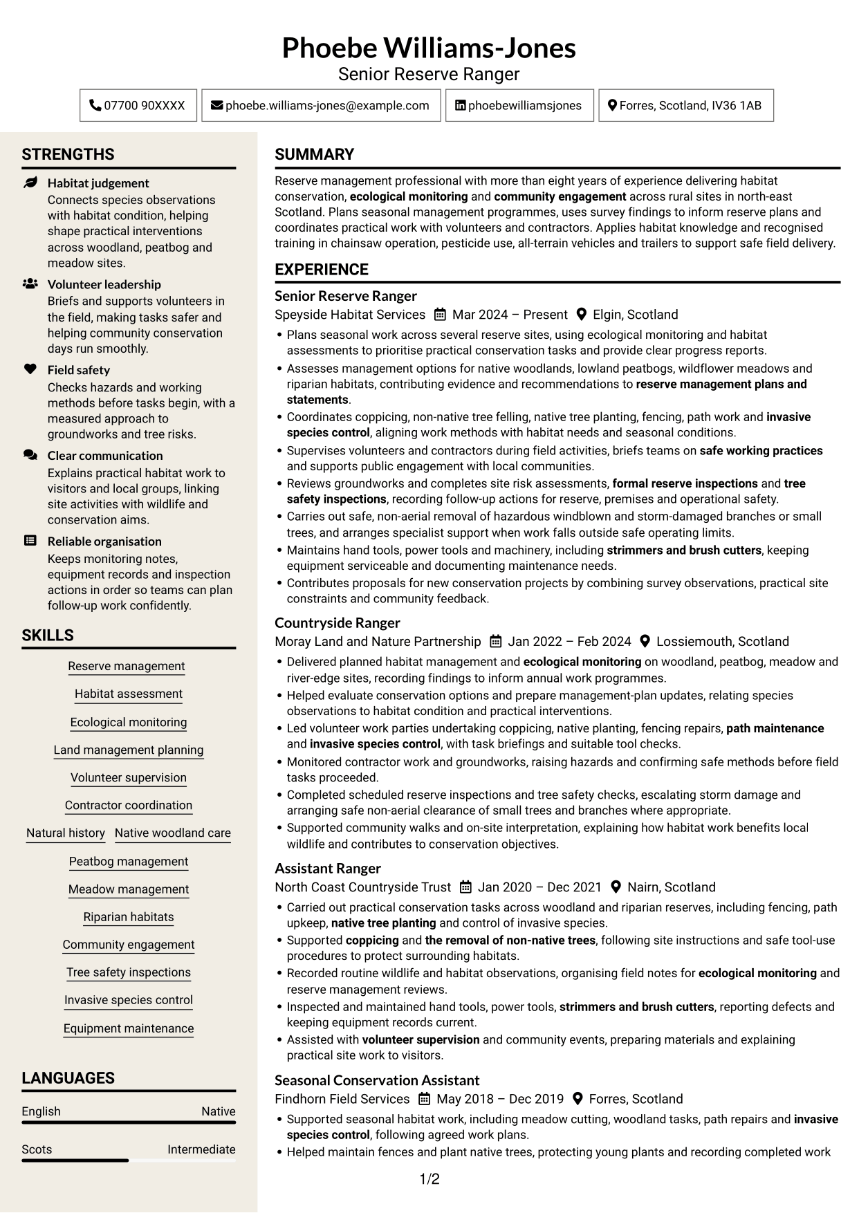 CV example — page 1