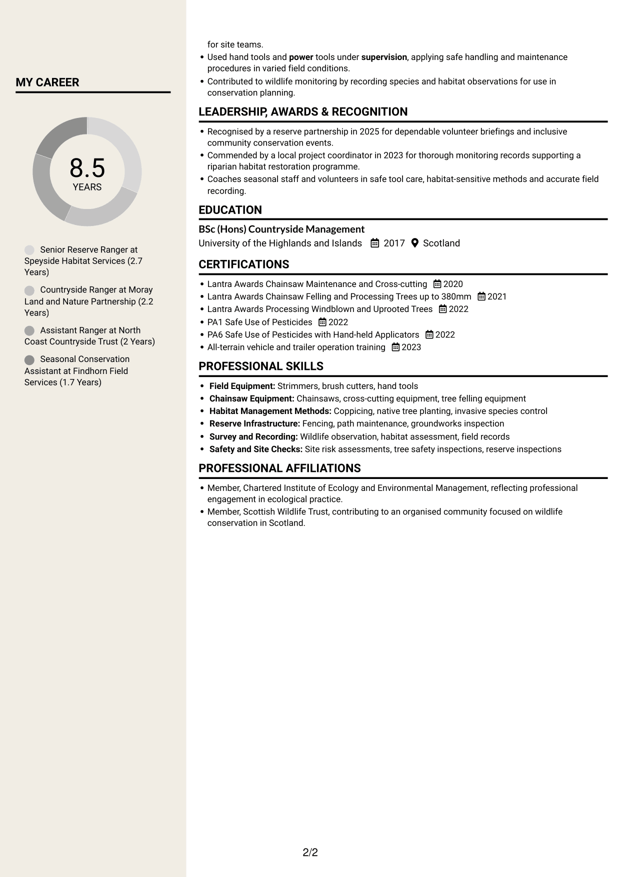 CV example — page 2