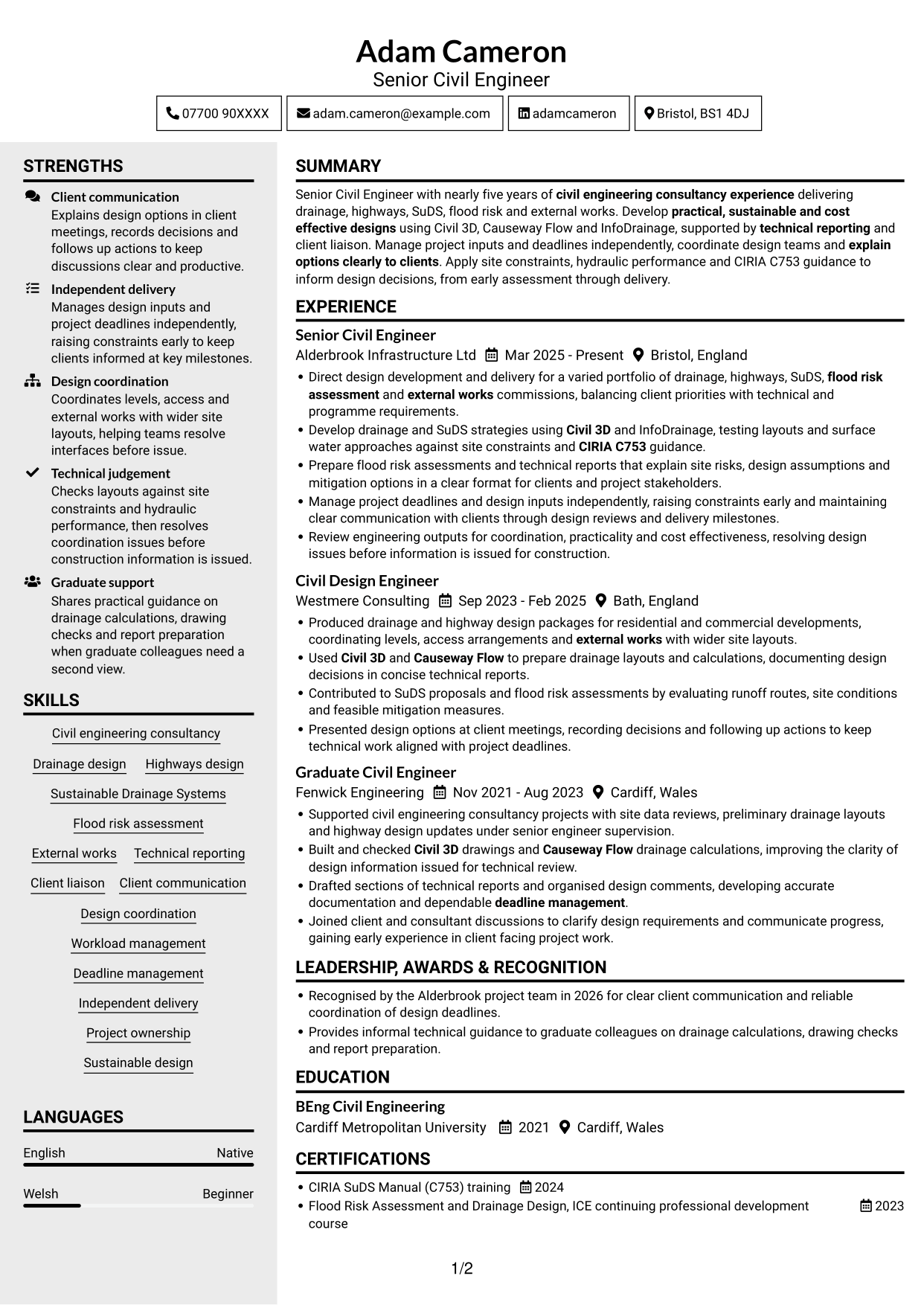 CV example — page 1