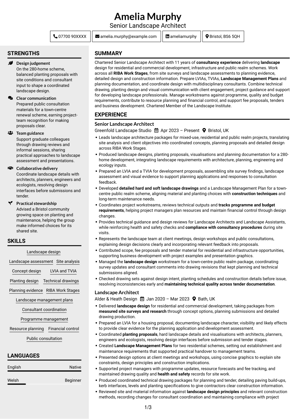 CV example — page 1