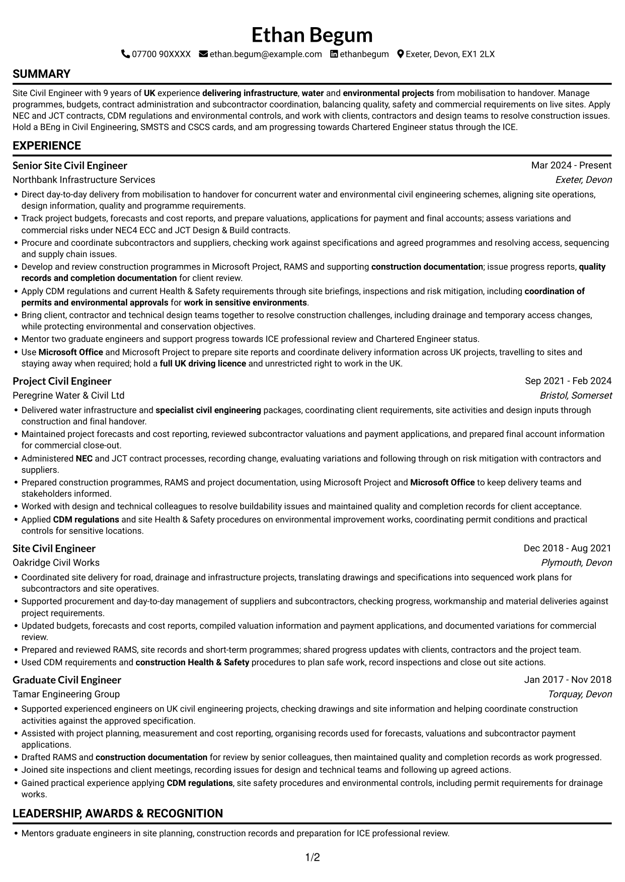 CV example — page 1