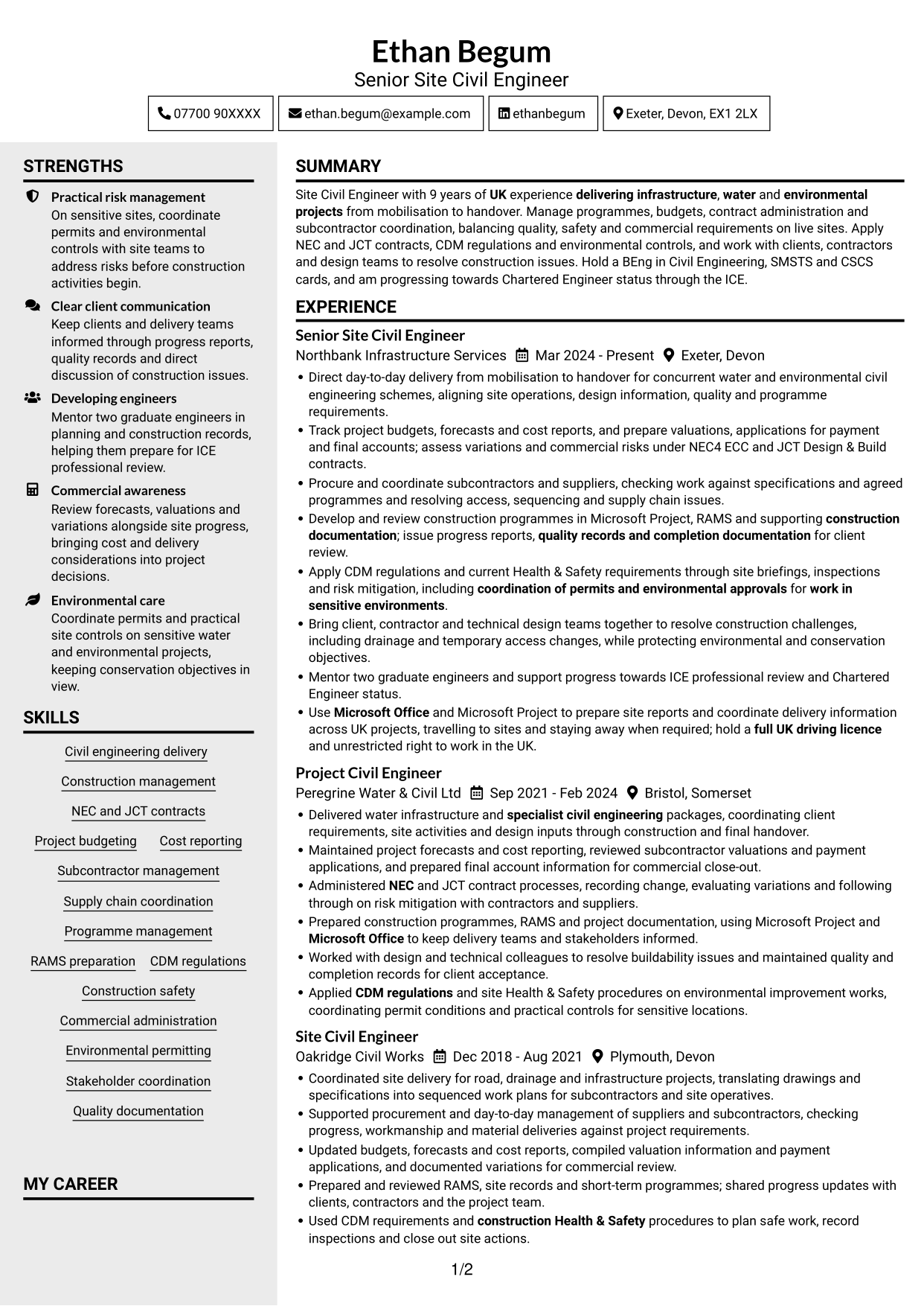 CV example — page 1