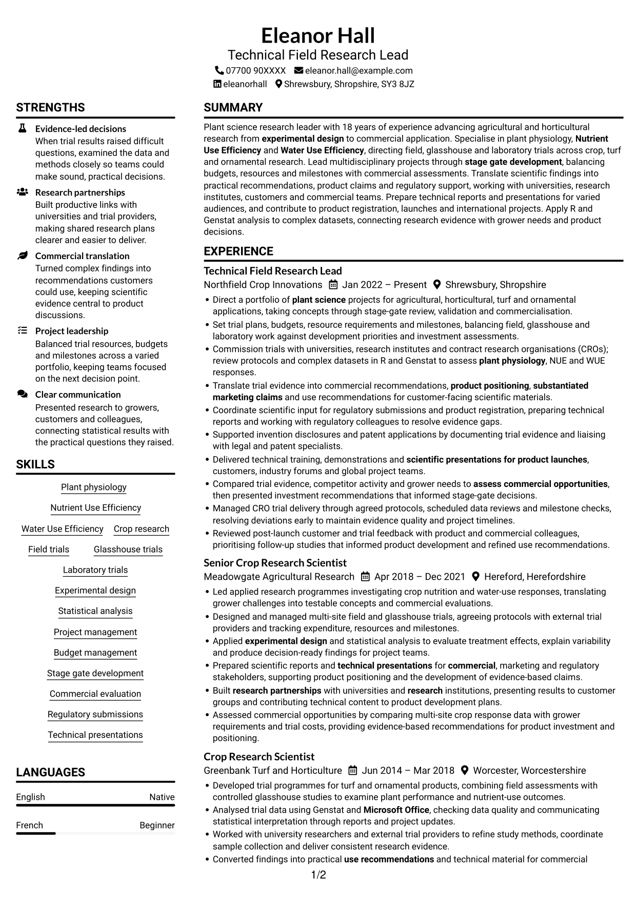 CV example — page 1