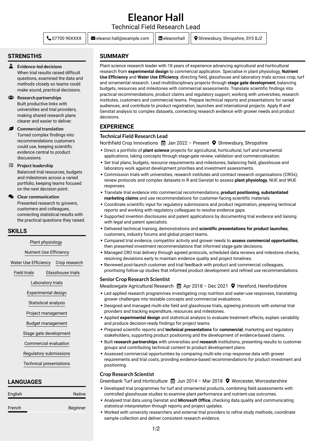 CV example — page 1