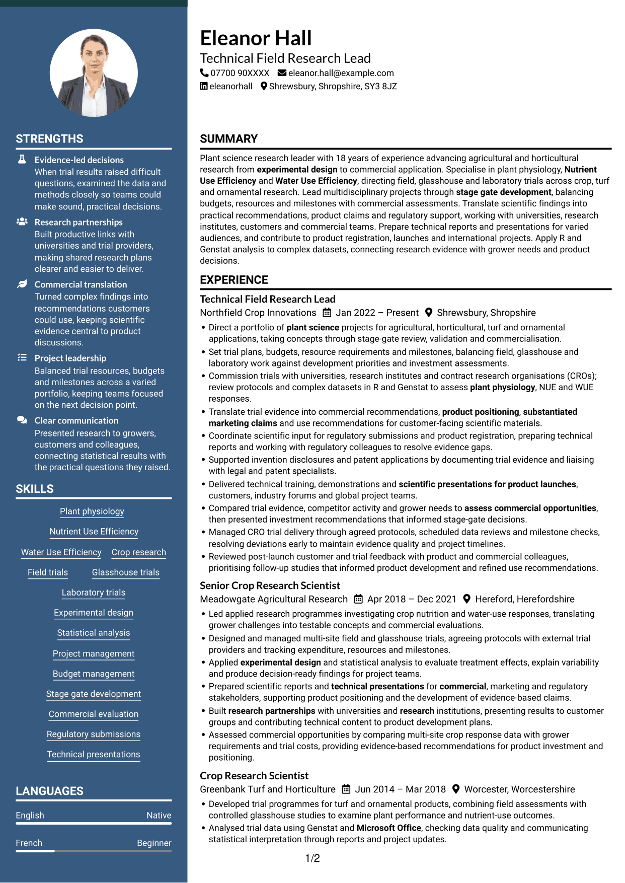 CV example — page 1