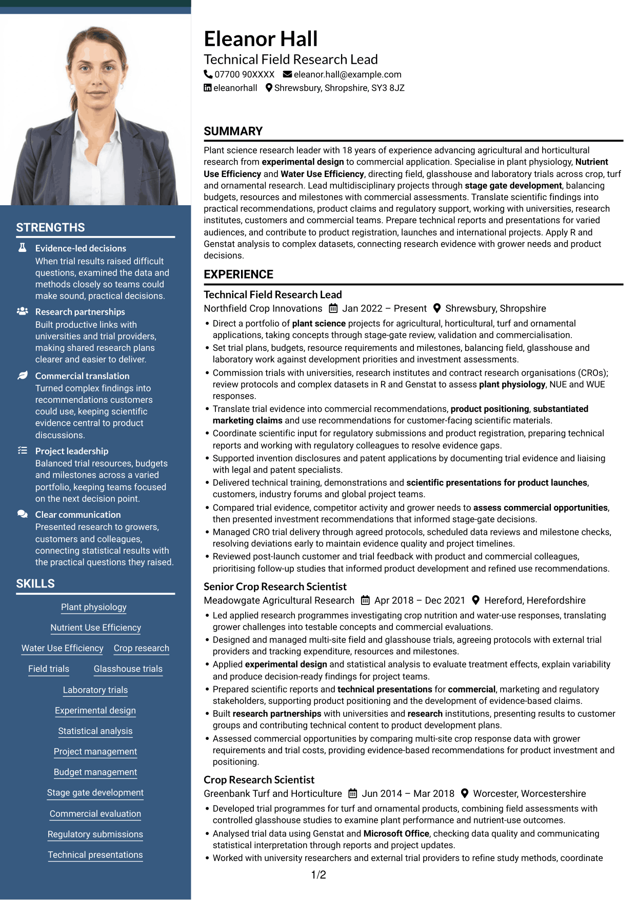 CV example — page 1