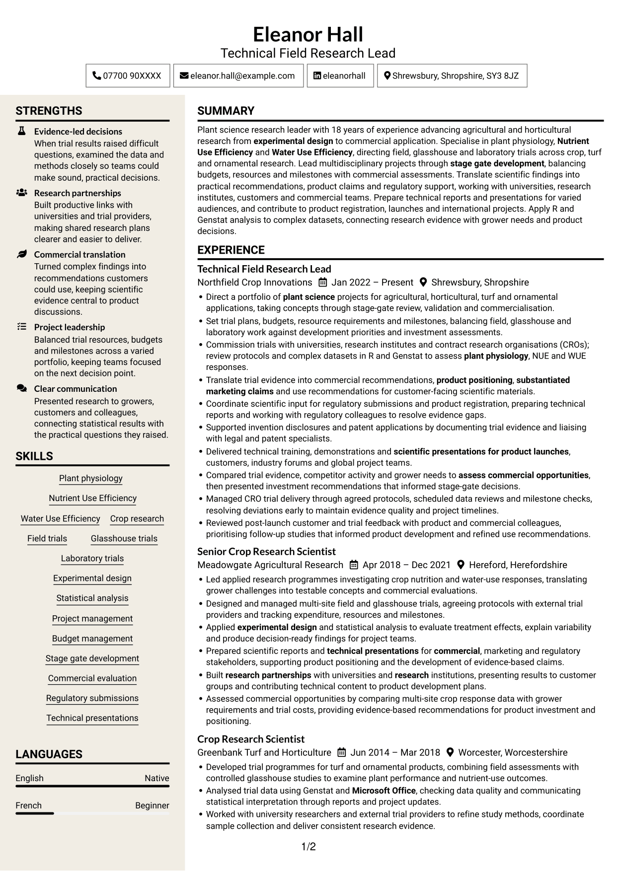 CV example — page 1