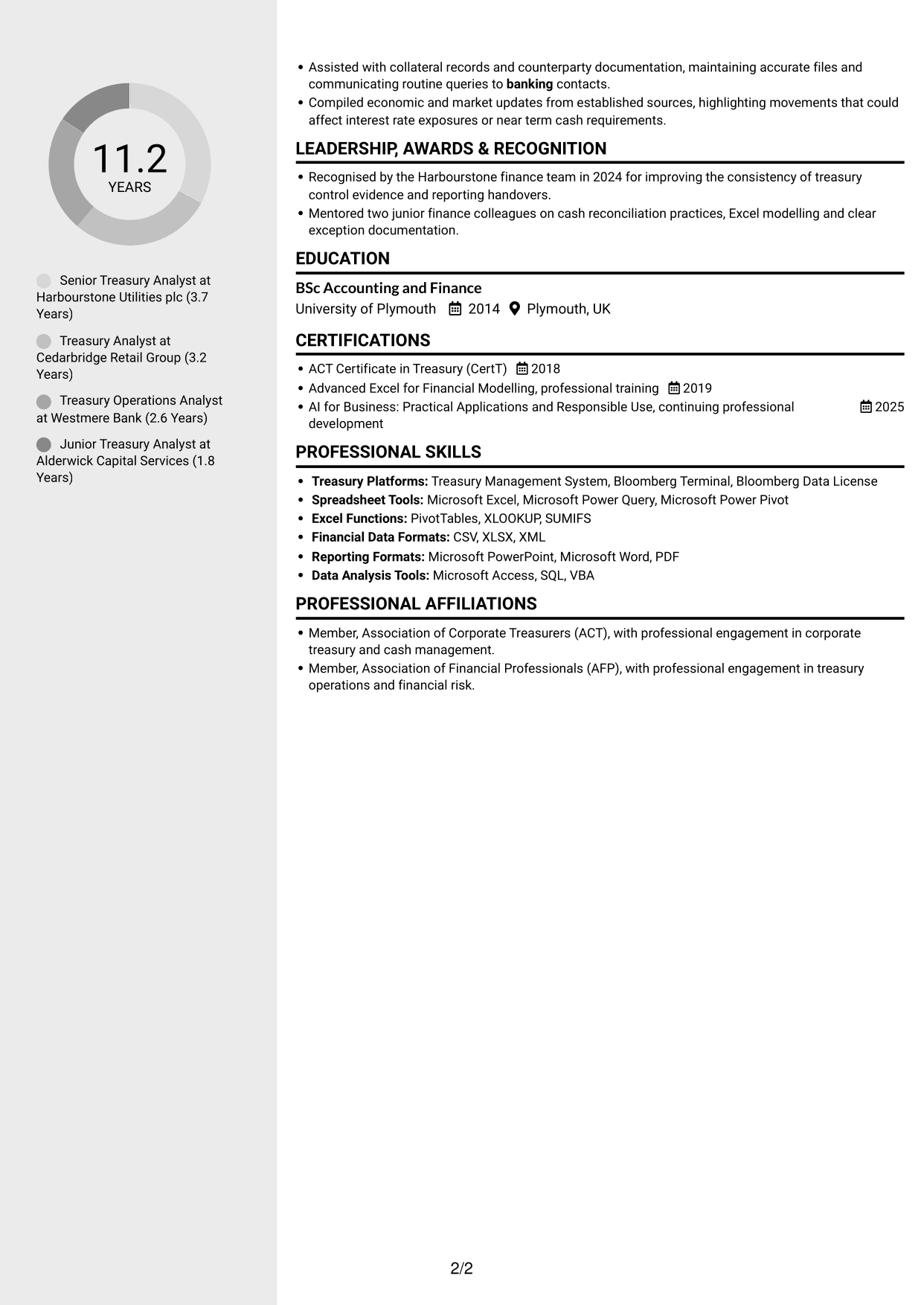 CV example — page 2