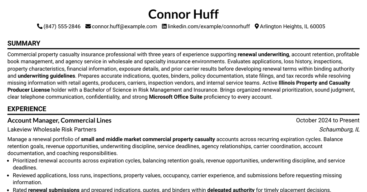 7 Account Manager - Commercial Property Casualty Resume Templates with Example