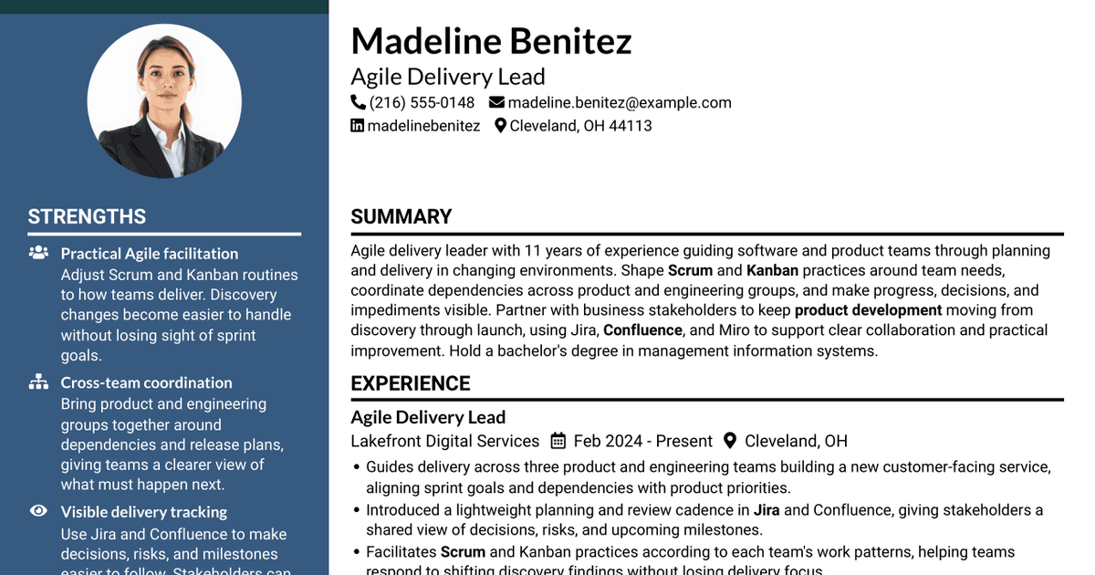7 Agile Delivery Owner Lead - New Product Development Resume Templates with Example
