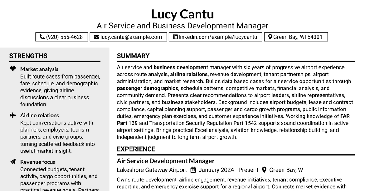 7 Air Service & Business Development Manager Resume Templates with Example