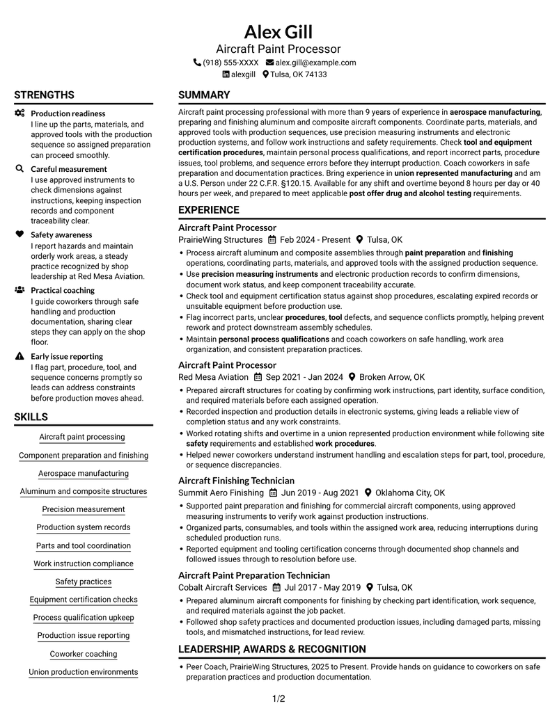 7 Aircraft Paint Processor Resume Templates with Example