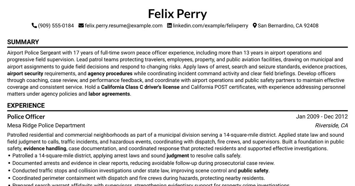 7 Airport Police Sergeant Resume Templates with Example