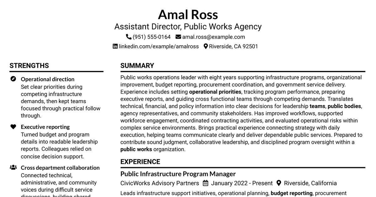 7 Assistant Director, Public Works Agency Resume Templates with Example