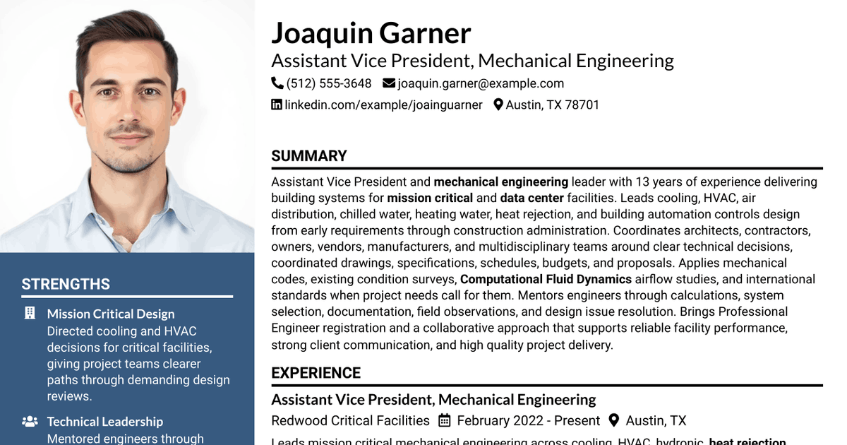 7 Assistant Vice President, Mechanical Engineer - Mechanical/Thermal Resume Templates with Example