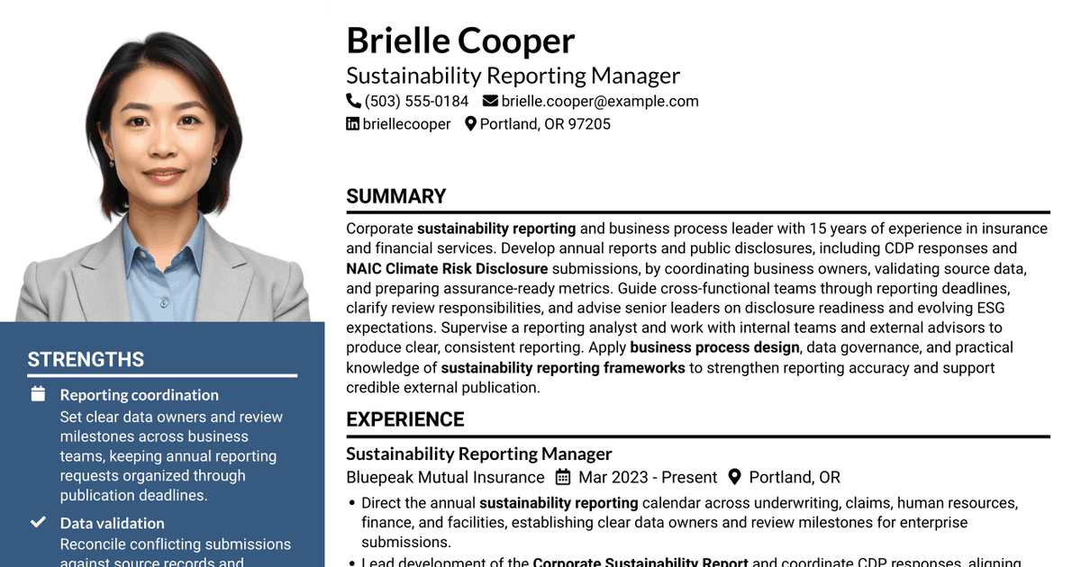 7 Associate Manager, Sustainability Reporting Resume Templates with Example