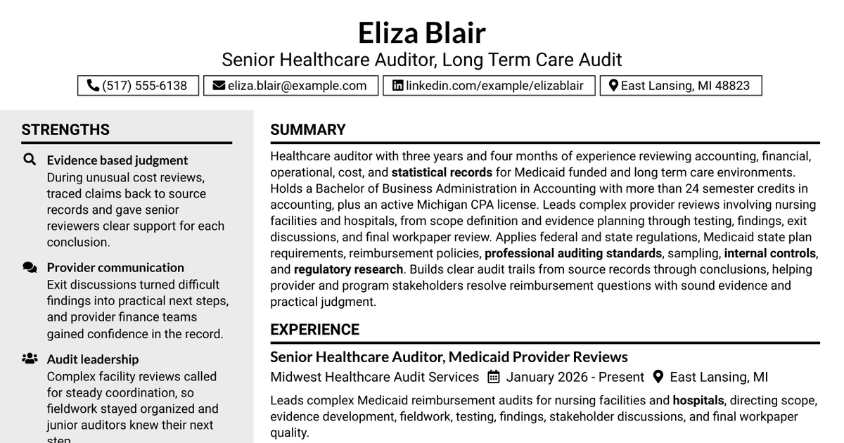 7 Auditor - Long Term Care Audit Resume Templates with Example