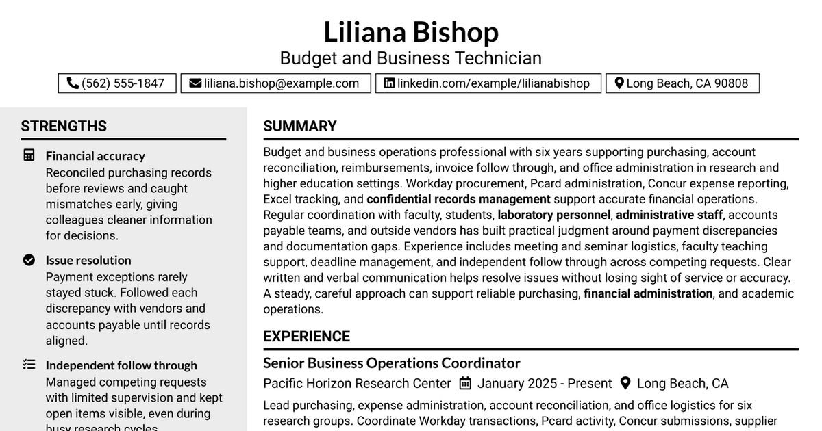 7 Budget/Business Technician Resume Templates with Example