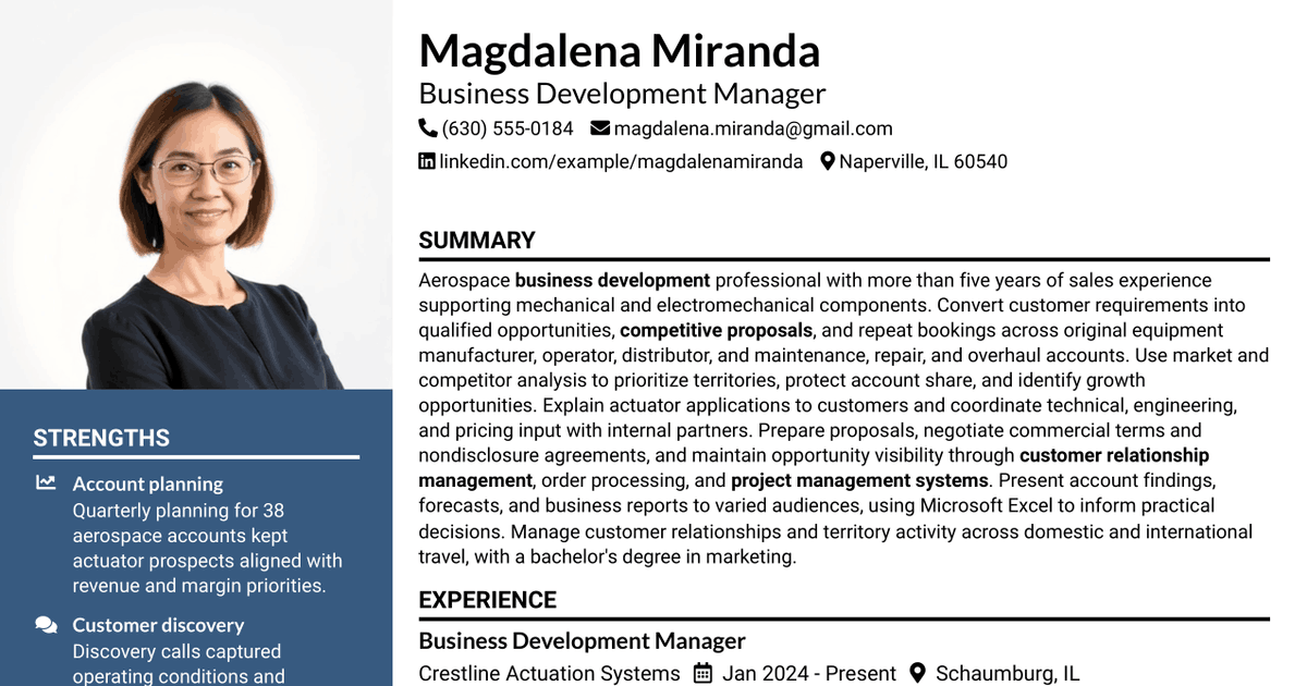 7 Business Development Manager - Aerospace Components Resume Templates with Example