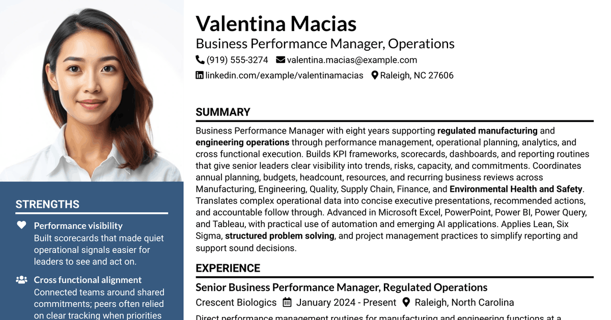 7 Business Performance Manager - Operations Resume Templates with Example
