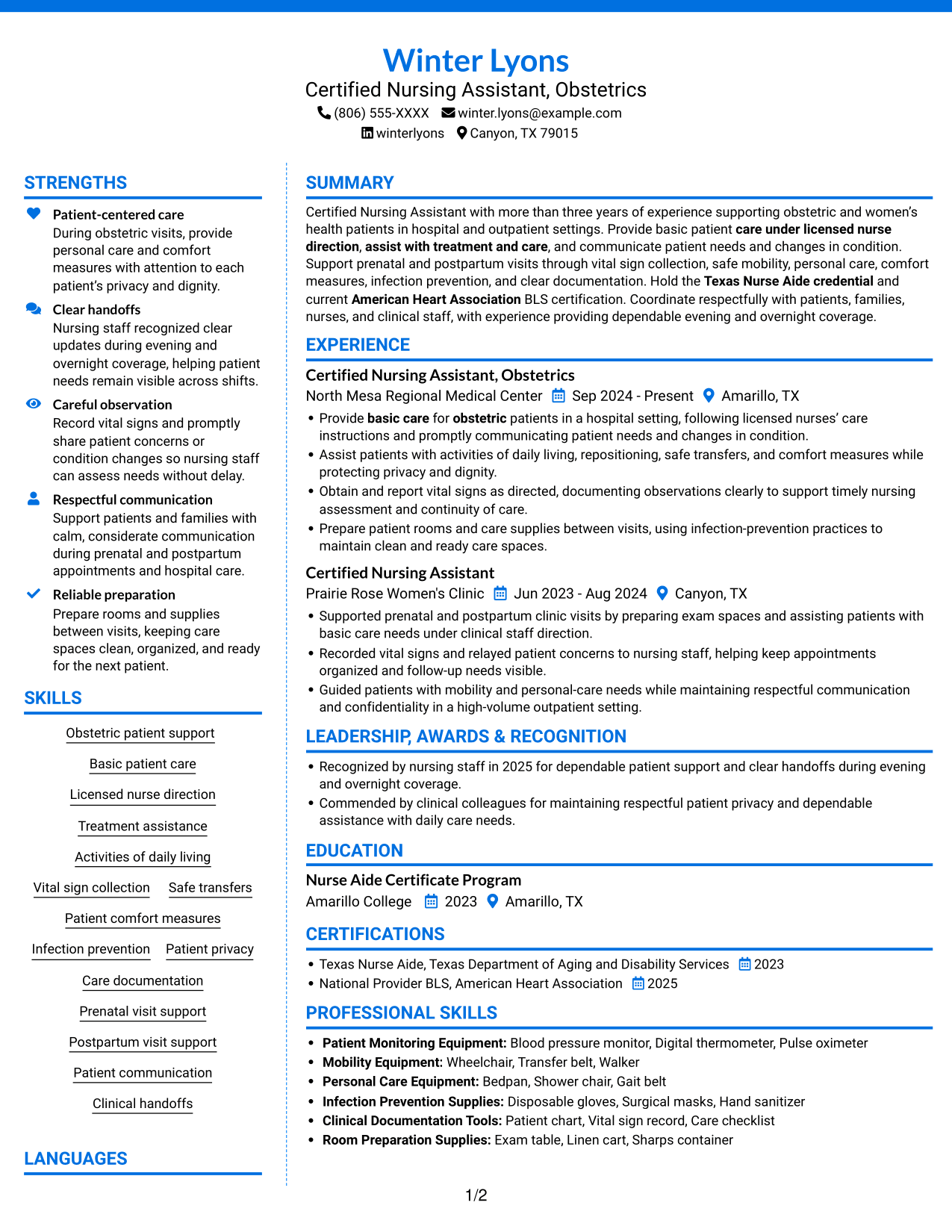 Resume example — page 1
