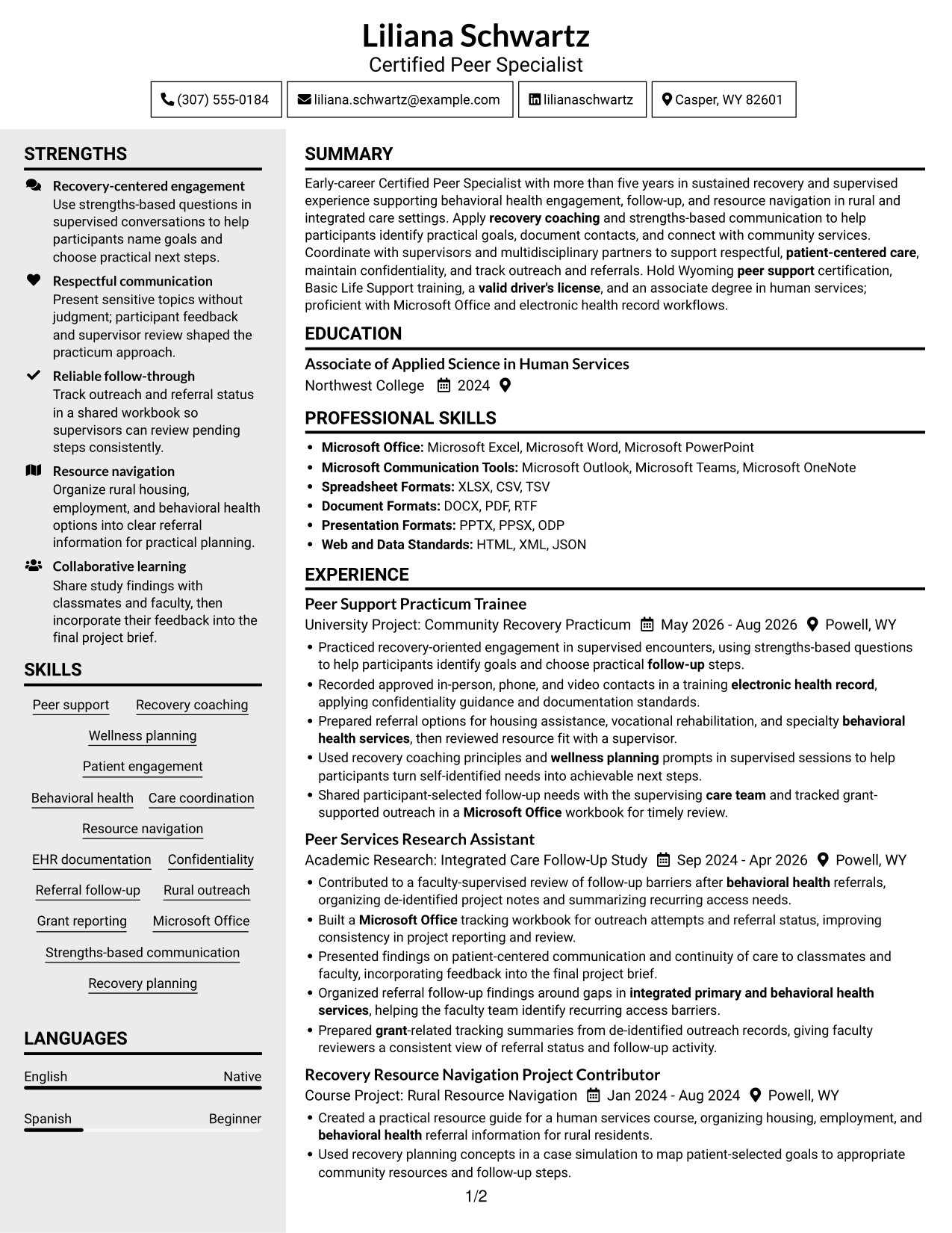 Resume example — page 1